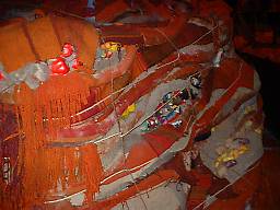 �傫���ł�